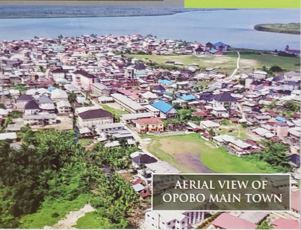 Aerial view of Opobo main town